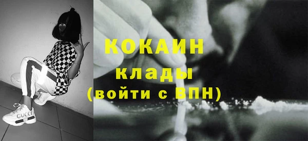 стаф Няндома