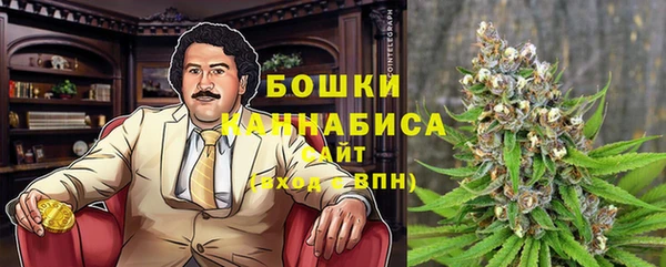 стаф Няндома
