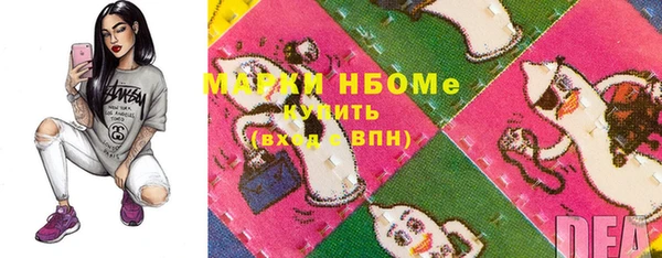 стаф Няндома