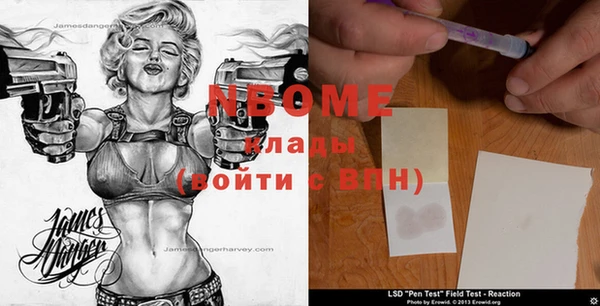 стаф Няндома