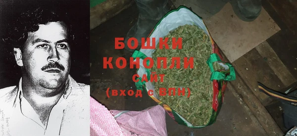 стаф Няндома
