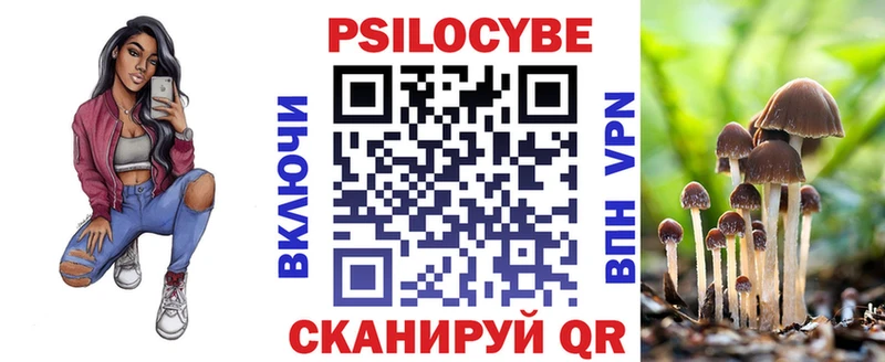 купить наркоту  MEGA ссылки  Галлюциногенные грибы GOLDEN TEACHER  Торопец 
