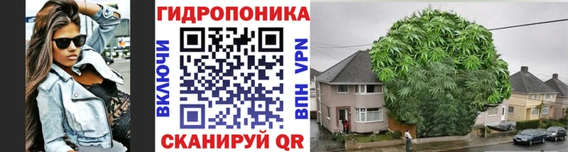 Каннабис план  Торопец 